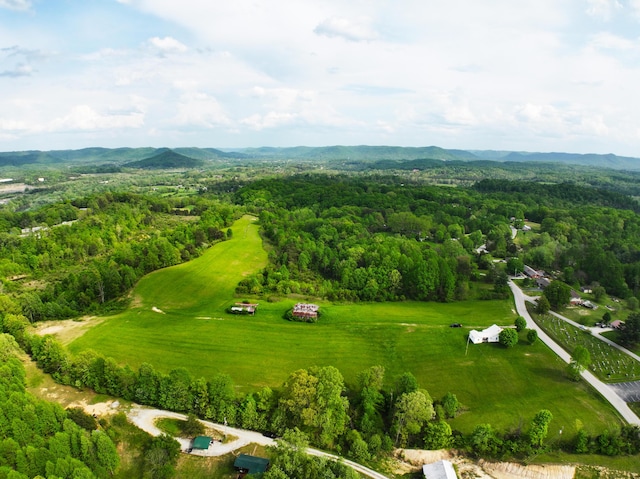bird's eye view of a forest and a mountain backdrop