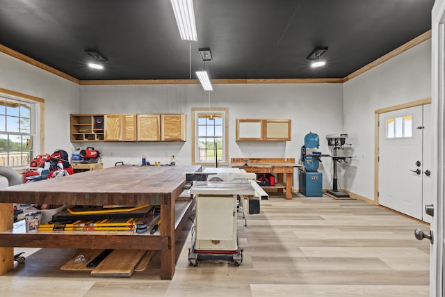 324 Hays Mays Rd, Perryville, KY 40468 - kitchen with ornamental molding, healthy amount of natural light, and light wood-type flooring