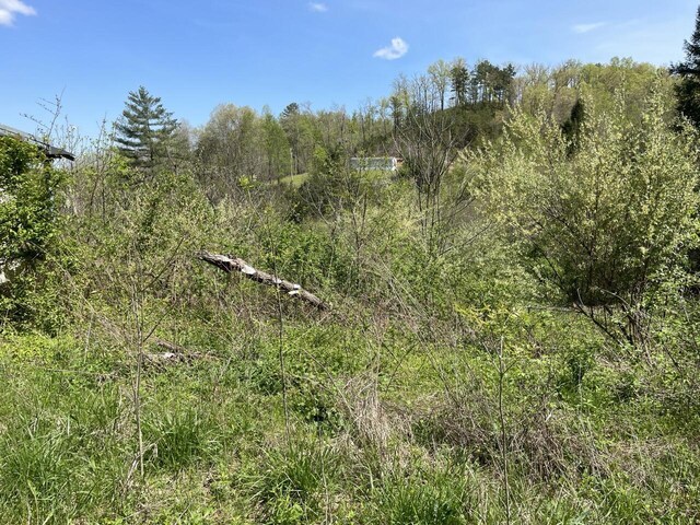 654 Napier Hollow Rd, Manchester, KY 40962 - view of local wilderness