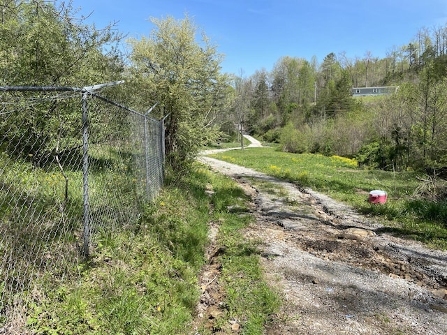 654 Napier Hollow Rd, Manchester, KY 40962 - view of road