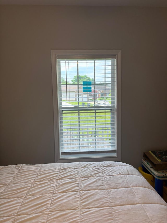 875 Ridgeview Dr, Frankfort, KY 40601 - bedroom featuring multiple windows