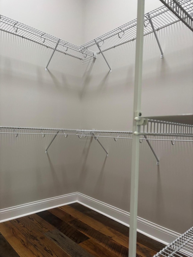 875 Ridgeview Dr, Frankfort, KY 40601 - walk in closet with dark wood-style flooring