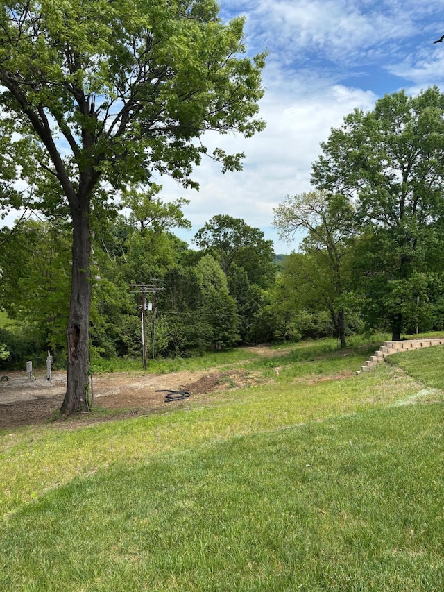 875 Ridgeview Dr, Frankfort, KY 40601 - view of yard