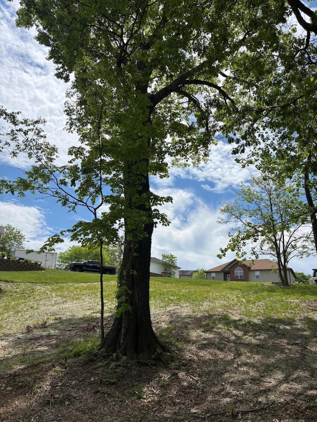 875 Ridgeview Dr, Frankfort, KY 40601 - view of yard