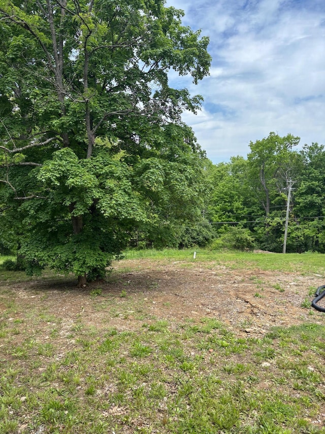 875 Ridgeview Dr, Frankfort, KY 40601 - view of yard with a view of trees
