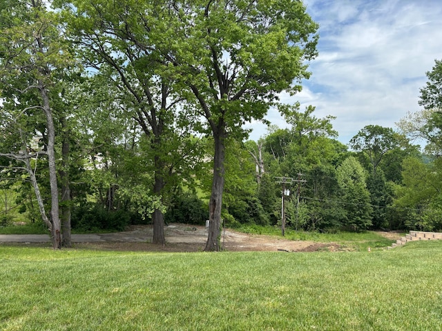 875 Ridgeview Dr, Frankfort, KY 40601 - view of grassy yard