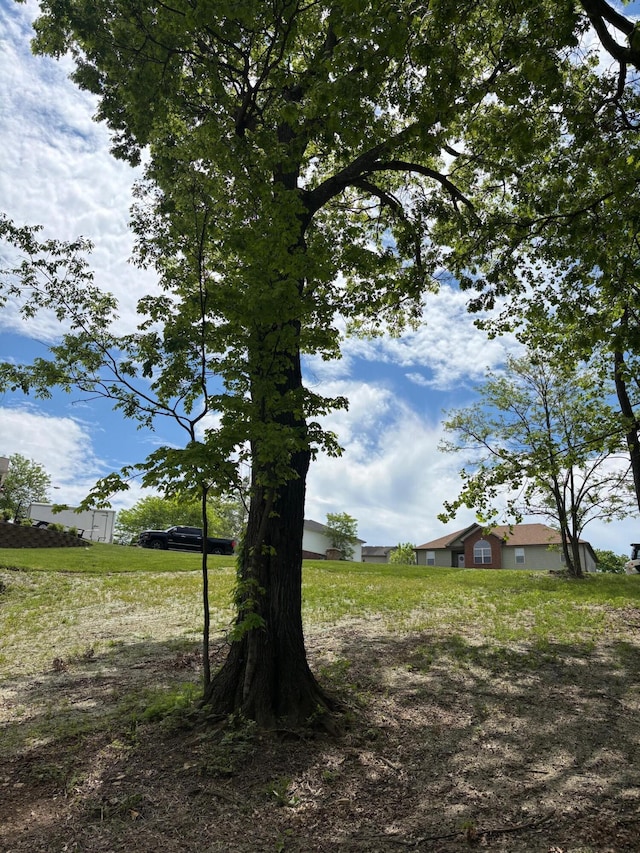 875 Ridgeview Dr, Frankfort, KY 40601 - view of yard