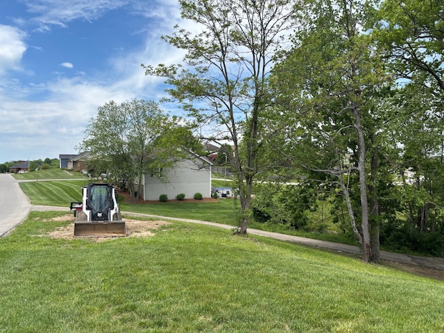 875 Ridgeview Dr, Frankfort, KY 40601 - view of grassy yard