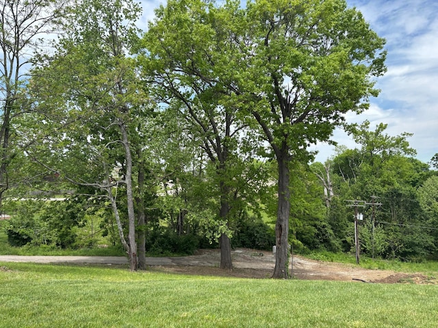 875 Ridgeview Dr, Frankfort, KY 40601 - view of grassy yard