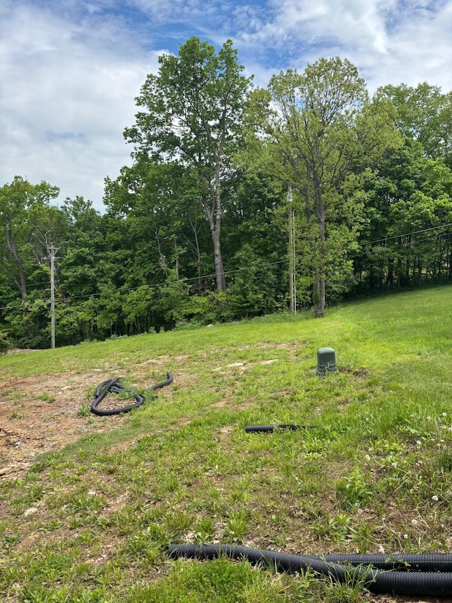 875 Ridgeview Dr, Frankfort, KY 40601 - view of yard