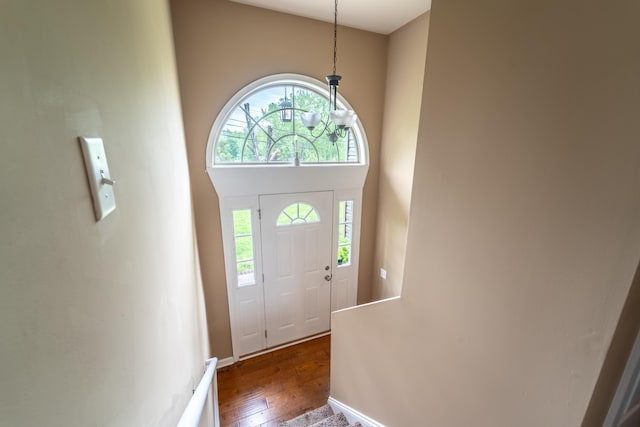 entryway with healthy amount of natural light and dark wood-style flooring