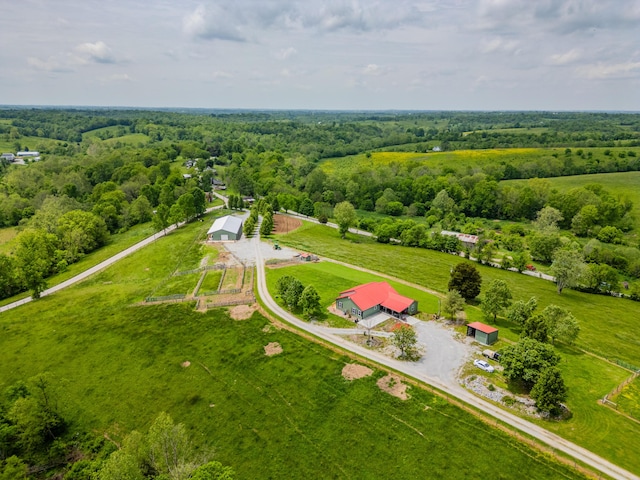 bird's eye view of a forest