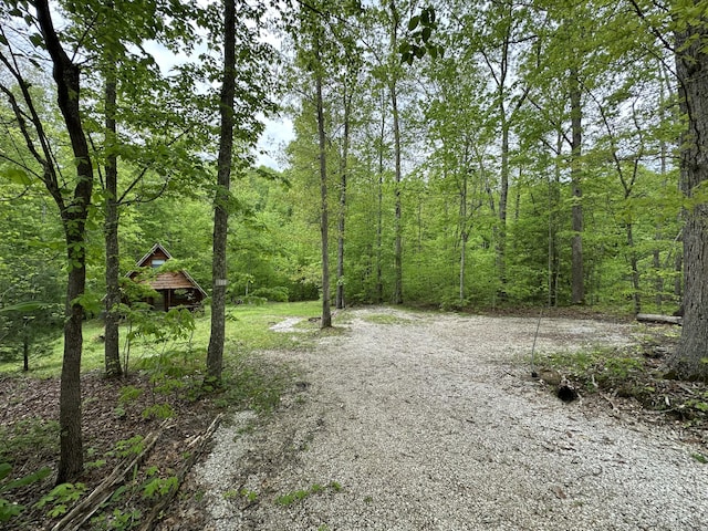 100 Buck Dr, Wellington, KY 40387 - view of yard with a wooded view