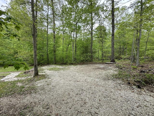 100 Buck Dr, Wellington, KY 40387 - view of woods