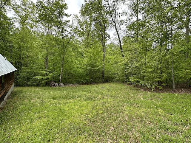 100 Buck Dr, Wellington, KY 40387 - view of green lawn with a forest view