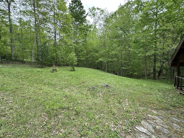 100 Buck Dr, Wellington, KY 40387 - view of grassy yard