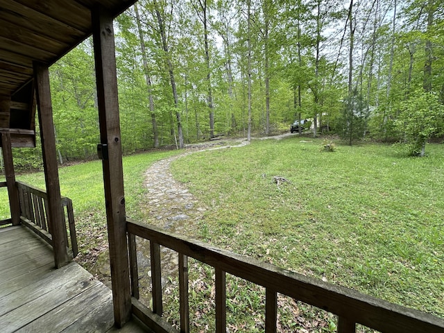 100 Buck Dr, Wellington, KY 40387 - view of green lawn