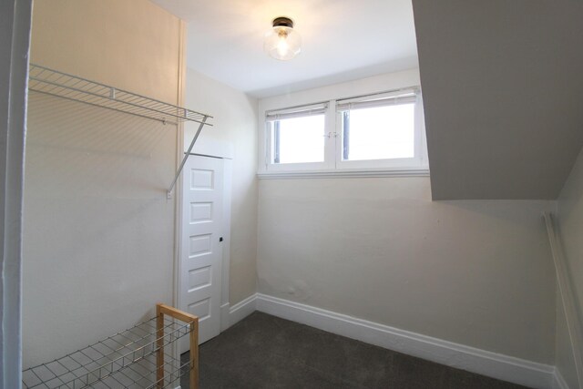 50 Sterling Ave, Fort Thomas, KY 41075 - walk in closet with dark colored carpet