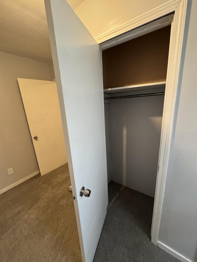 357 Powell Rd, Clay City, KY 40312 - view of closet