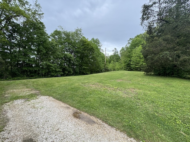 357 Powell Rd, Clay City, KY 40312 - view of grassy yard with a forest view