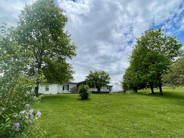 view of grassy yard