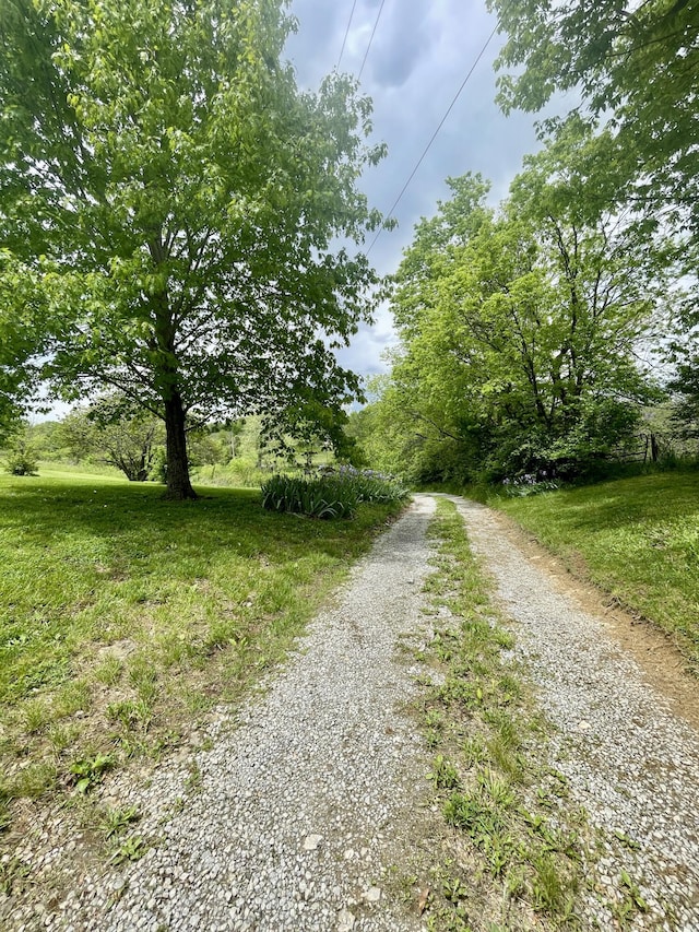 1038 Levy Rd, Paris, KY 40361 - view of dirt / gravel road
