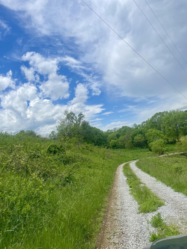 1038 Levy Rd, Paris, KY 40361 - view of street featuring a wooded view