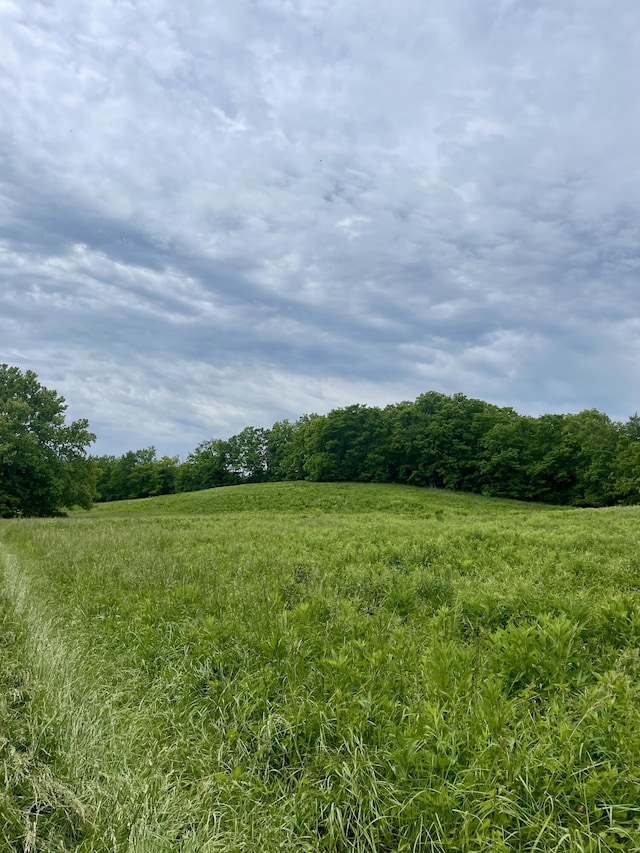 1038 Levy Rd, Paris, KY 40361 - view of wooded area with a view of rural / pastoral area