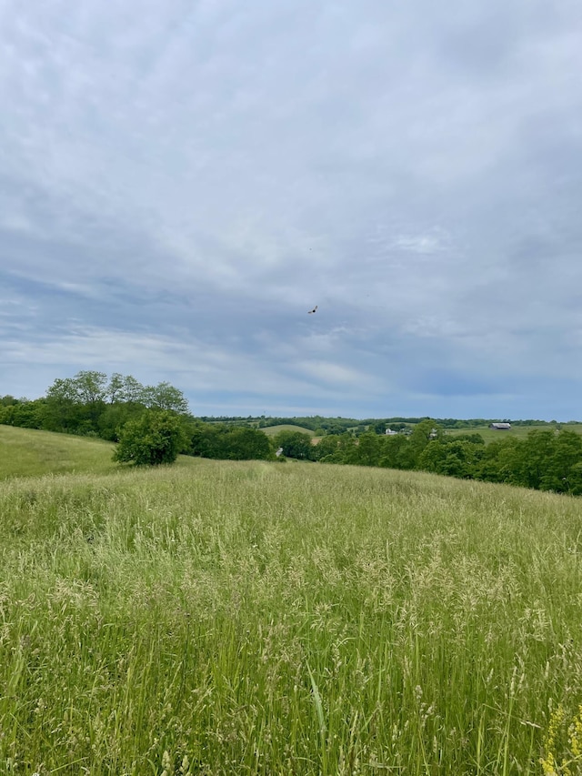 1038 Levy Rd, Paris, KY 40361 - view of undeveloped land with rural landscape