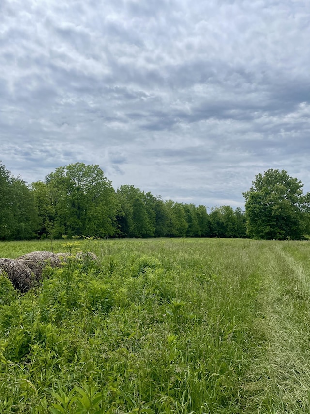 1038 Levy Rd, Paris, KY 40361 - view of yard with a wooded view and a rural view