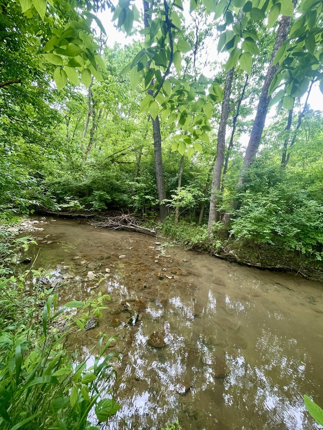 1038 Levy Rd, Paris, KY 40361 - view of local wilderness