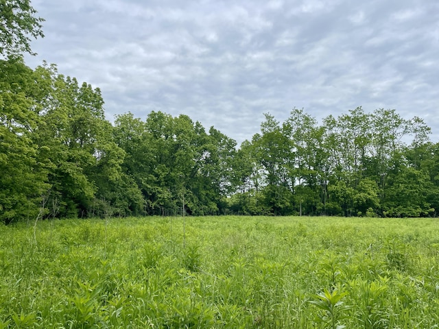 1038 Levy Rd, Paris, KY 40361 - view of wooded area