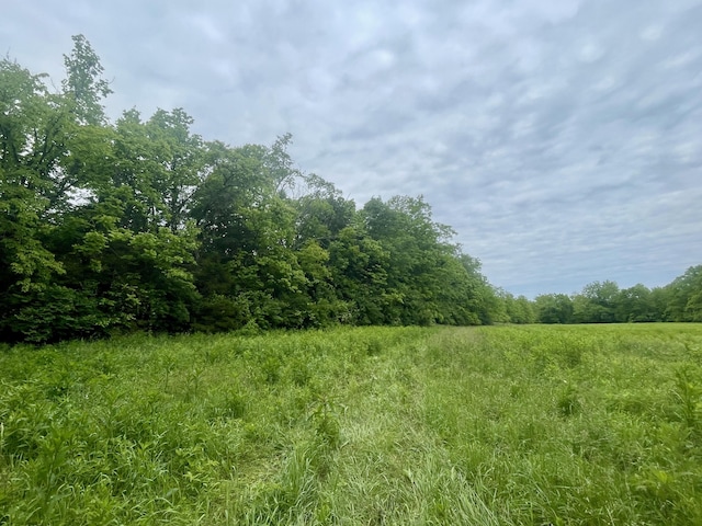1038 Levy Rd, Paris, KY 40361 - view of woods