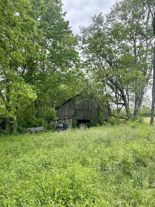 1038 Levy Rd, Paris, KY 40361 - view of yard with an outbuilding and a barn