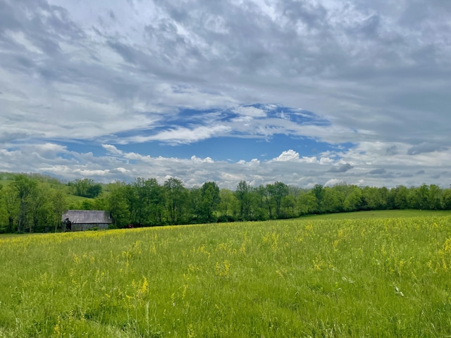 1038 Levy Rd, Paris, KY 40361 - view of yard with a view of countryside