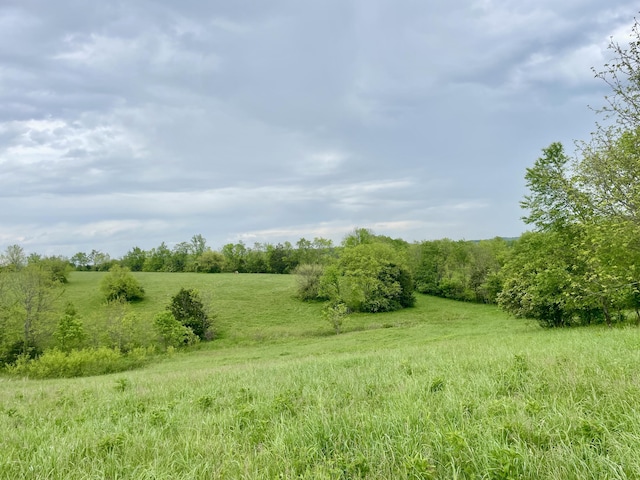 1038 Levy Rd, Paris, KY 40361 - view of undeveloped land featuring rural landscape