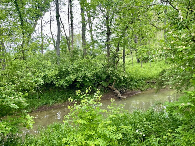 1038 Levy Rd, Paris, KY 40361 - view of nature