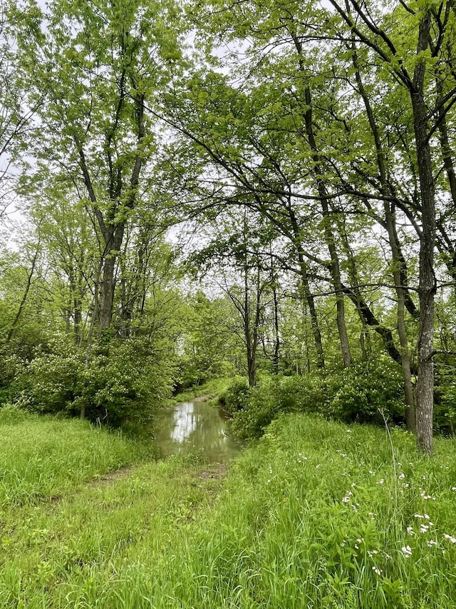 1038 Levy Rd, Paris, KY 40361 - view of local wilderness