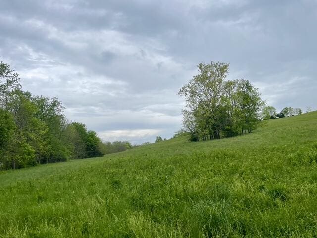 1038 Levy Rd, Paris, KY 40361 - view of local wilderness featuring rural landscape