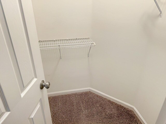 1204 Red Stone Dr, Lexington, KY 40509 - spacious closet with carpet flooring