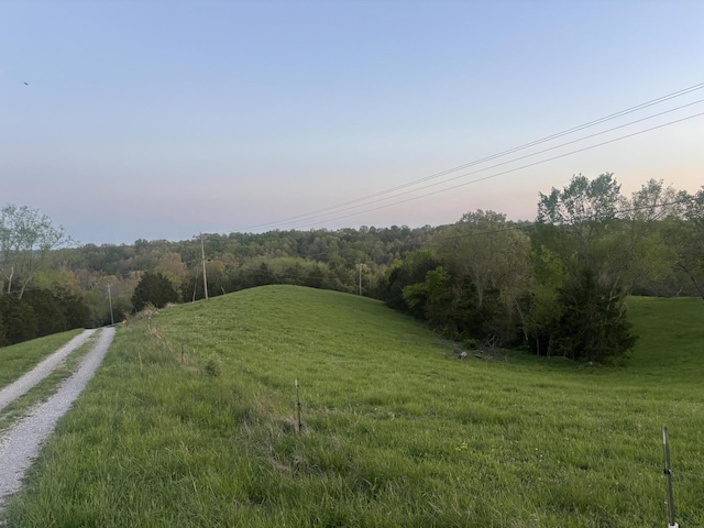 7410 Bald Knob Rd, Frankfort, KY 40601 - view of woods