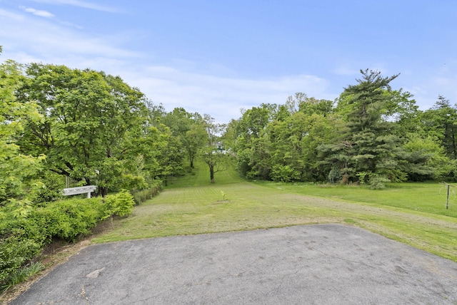 834 Boyd Ave, Danville, KY 40422 - view of grassy yard with a patio area