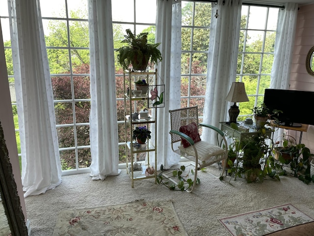 218 W Campbell St, Frankfort, KY 40601 - sunroom / solarium featuring healthy amount of natural light