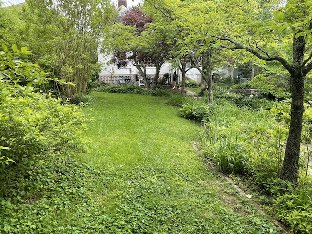 218 W Campbell St, Frankfort, KY 40601 - view of green lawn featuring an outdoor structure