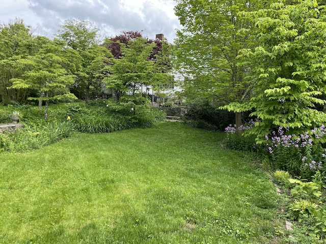 218 W Campbell St, Frankfort, KY 40601 - view of green lawn