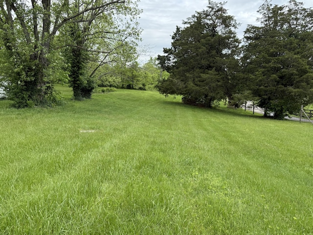 8023 Old Richmond Rd, Lexington, KY 40515 - view of yard
