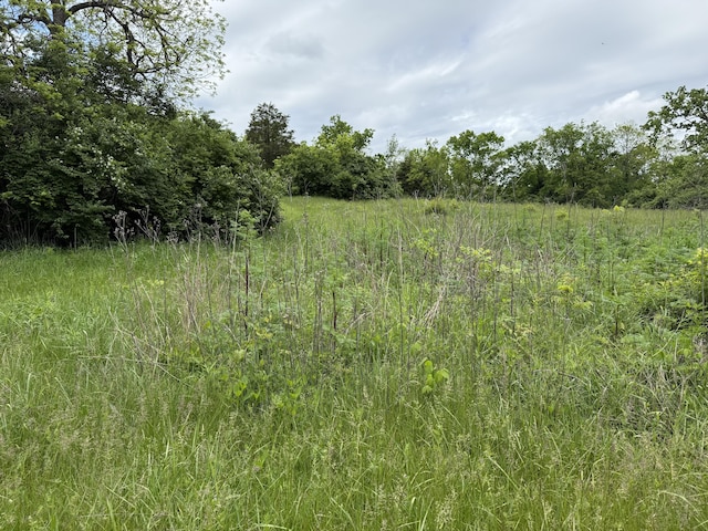 8023 Old Richmond Rd, Lexington, KY 40515 - view of nature