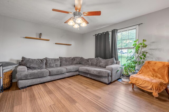 501 Ashley Ct, Berea, KY 40403 - living room with hardwood / wood-style floors and a ceiling fan