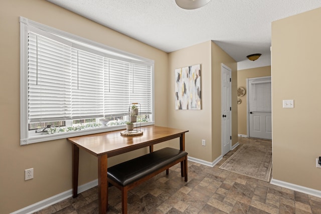 dining room featuring baseboards, stone finish flooring, and a textured ceiling