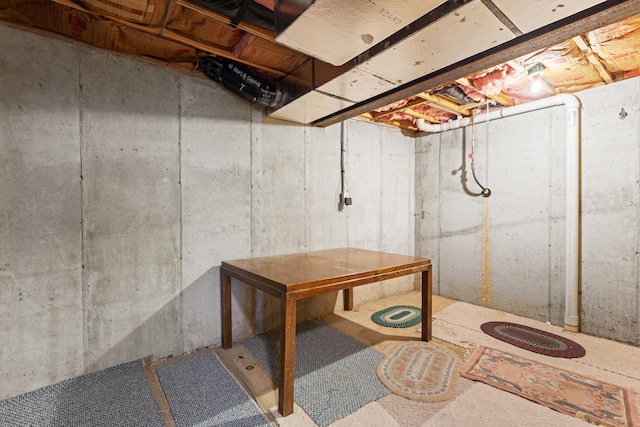 view of unfinished basement